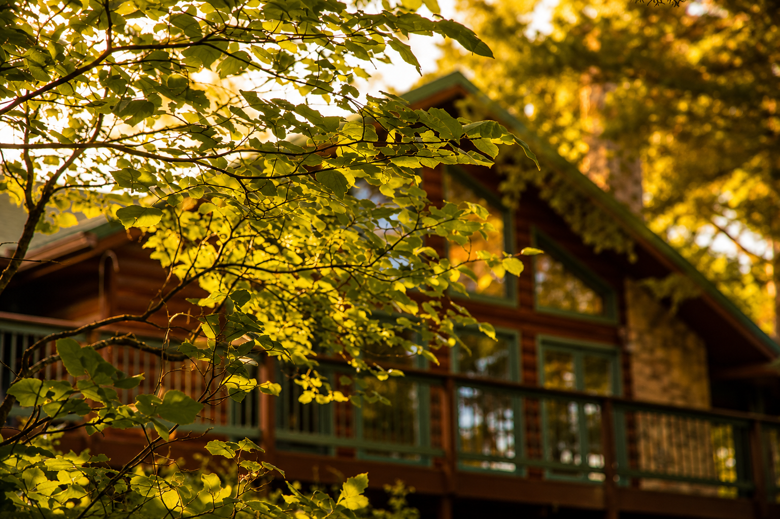 Sunlit lakeside lodge framed by leaves